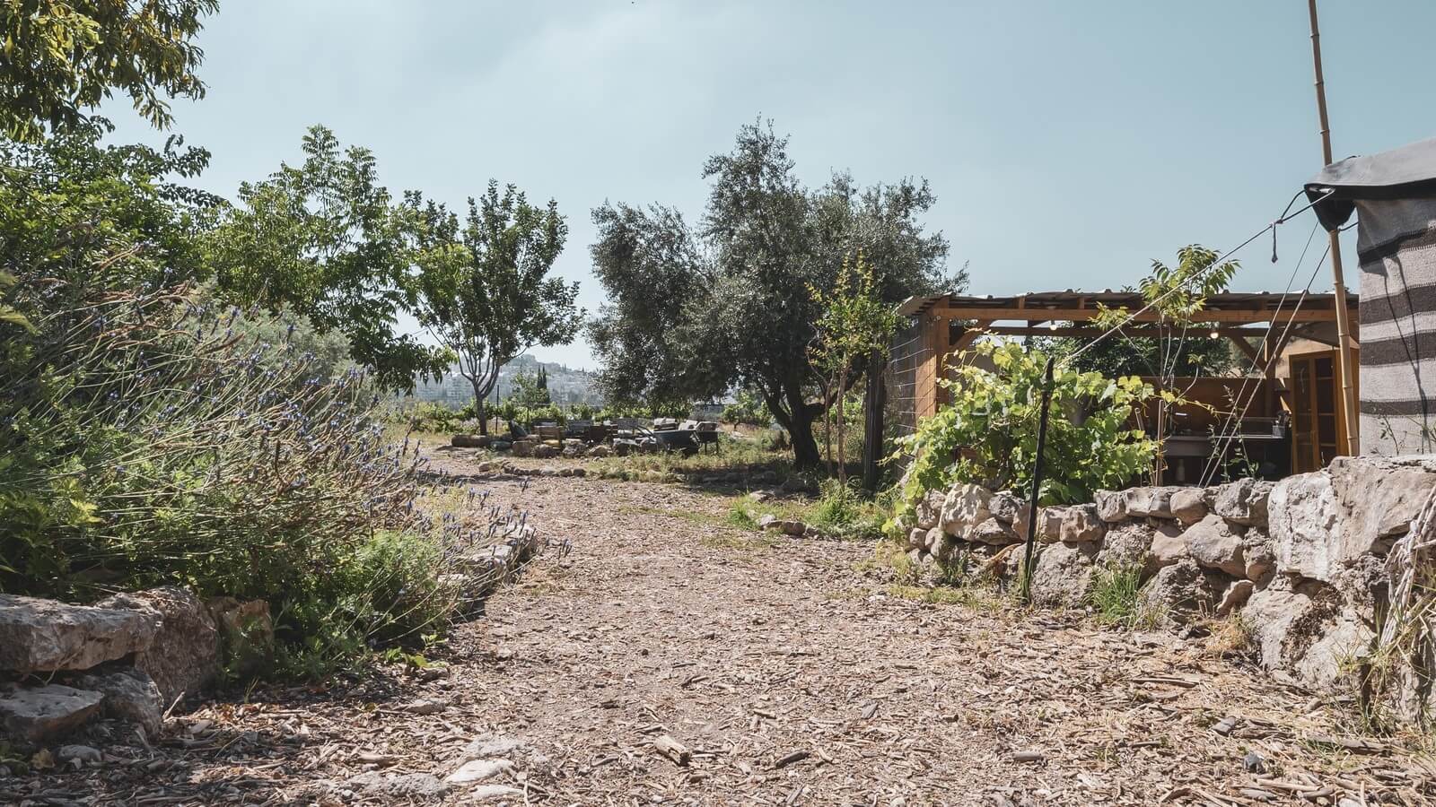 תמונה של אוהל רחל - 11