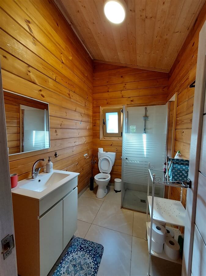 תמונה של לב אמירים - 6