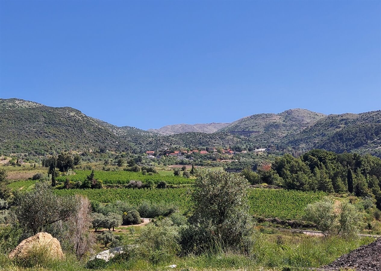 תמונה של קסם בגליל - 9