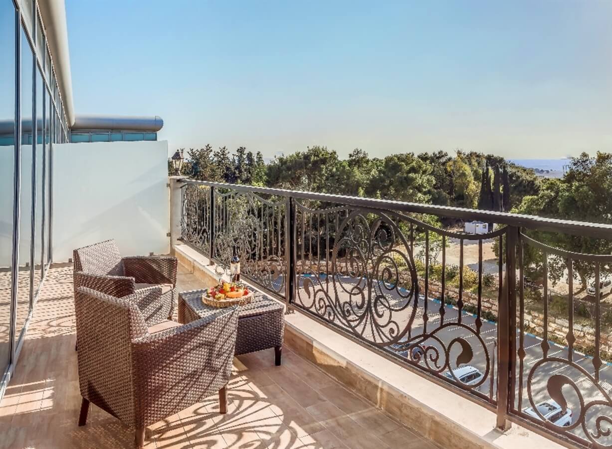 תמונה של דלקס עם מרפסת - 3