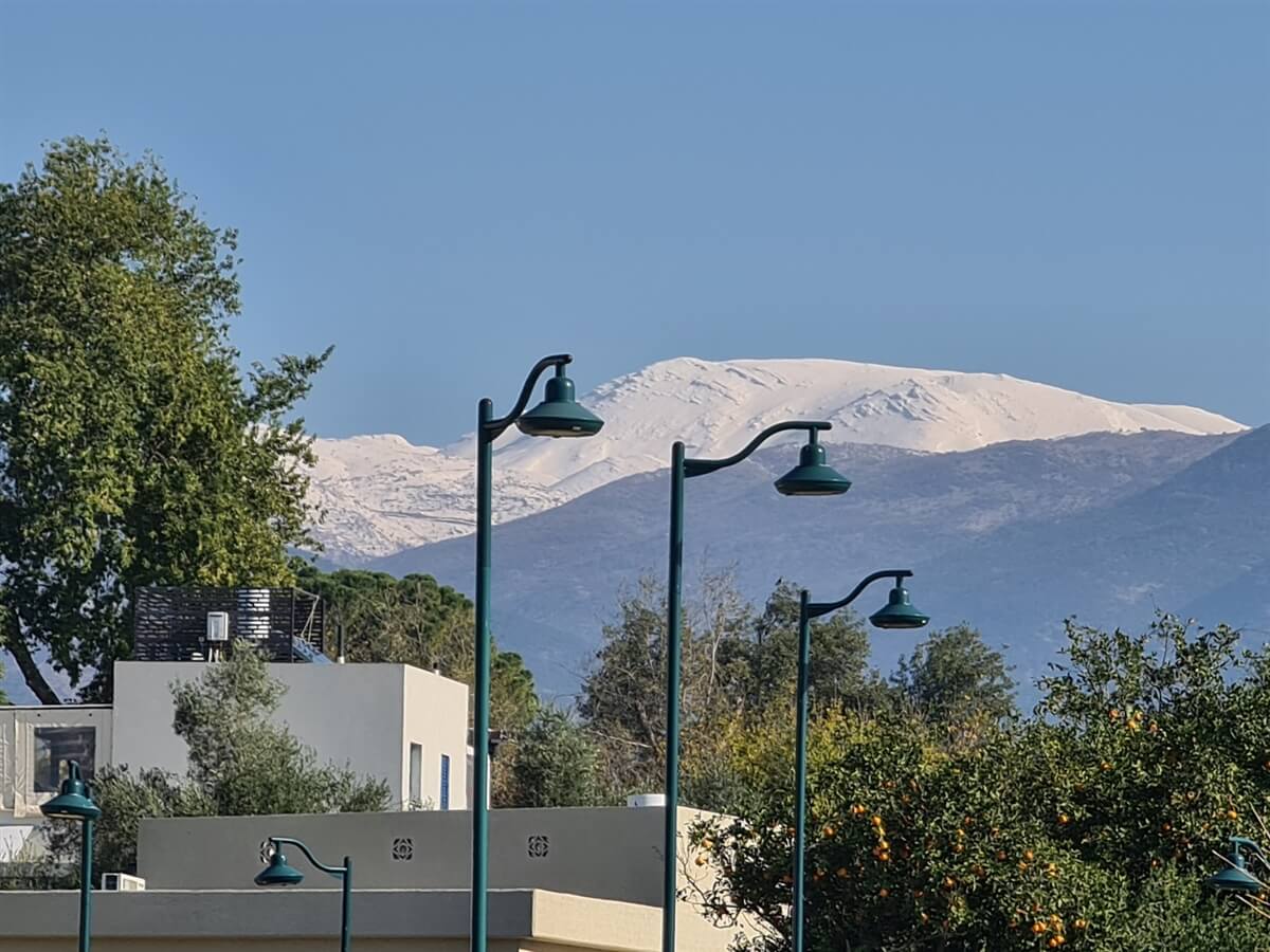 תמונה של הדירה - 7