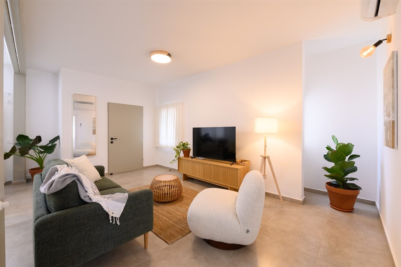 תמונה של Oliva - 9