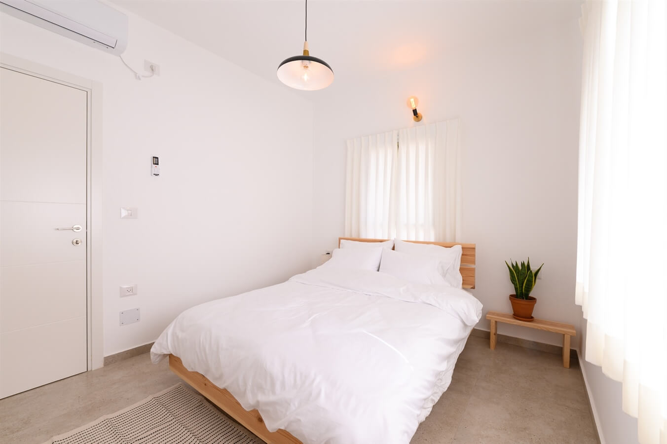 תמונה של Oliva - 2