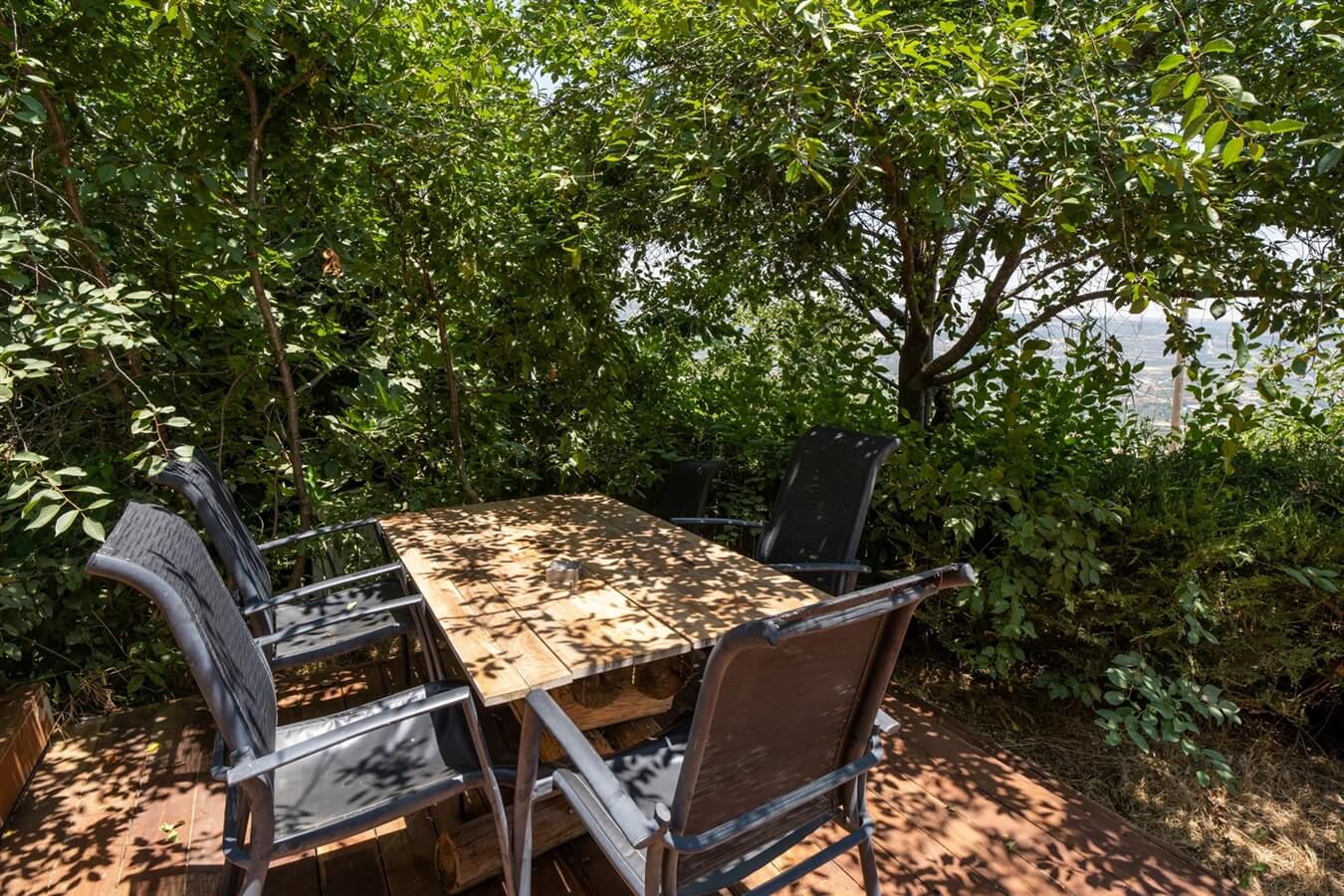 תמונה של שומר האגם - 14