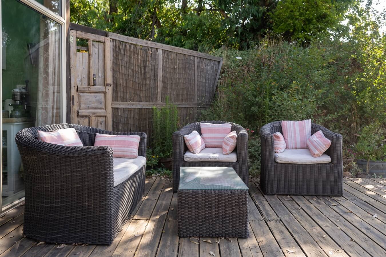 תמונה של פעמון הגשם - 13