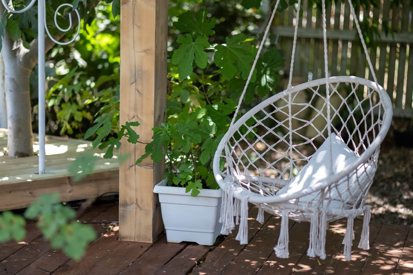 תמונה של שומר האגם - 11