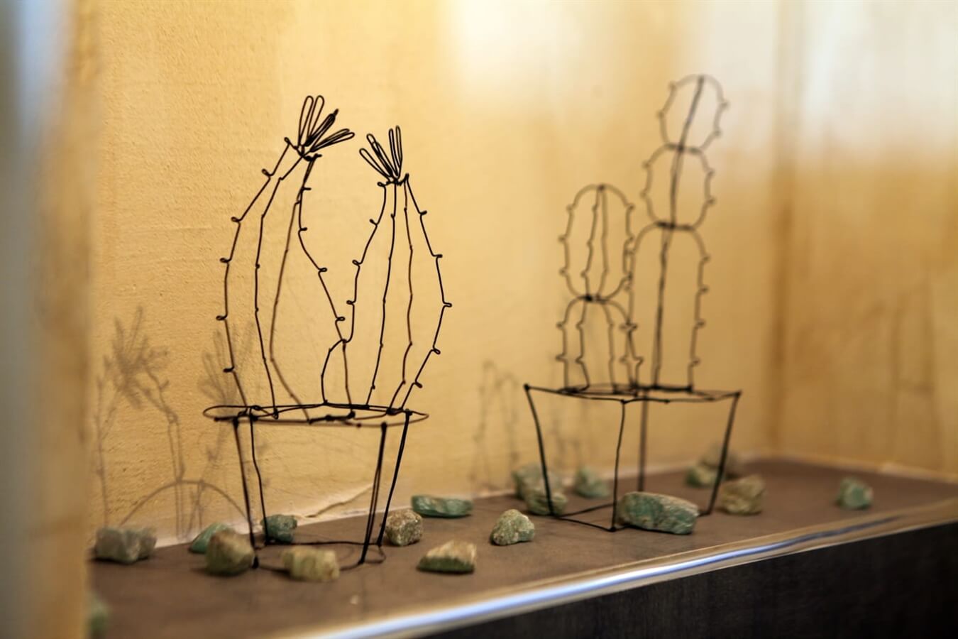 תמונה של בקתת נועם - 11