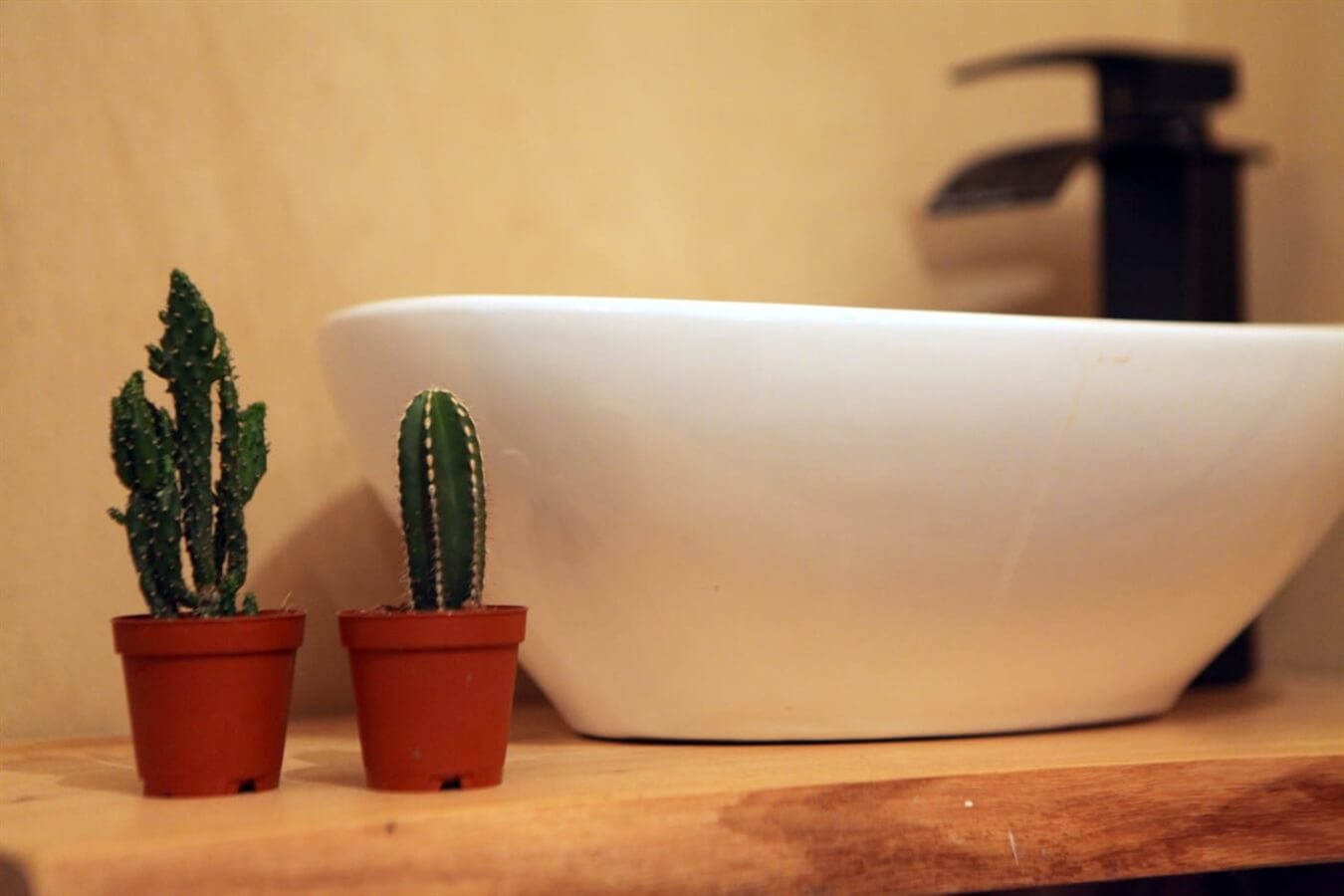 תמונה של בקתת נועם - 9