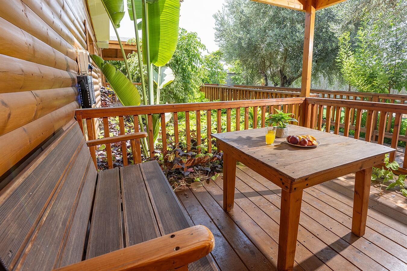 תמונה של סוויטה הראל - 2