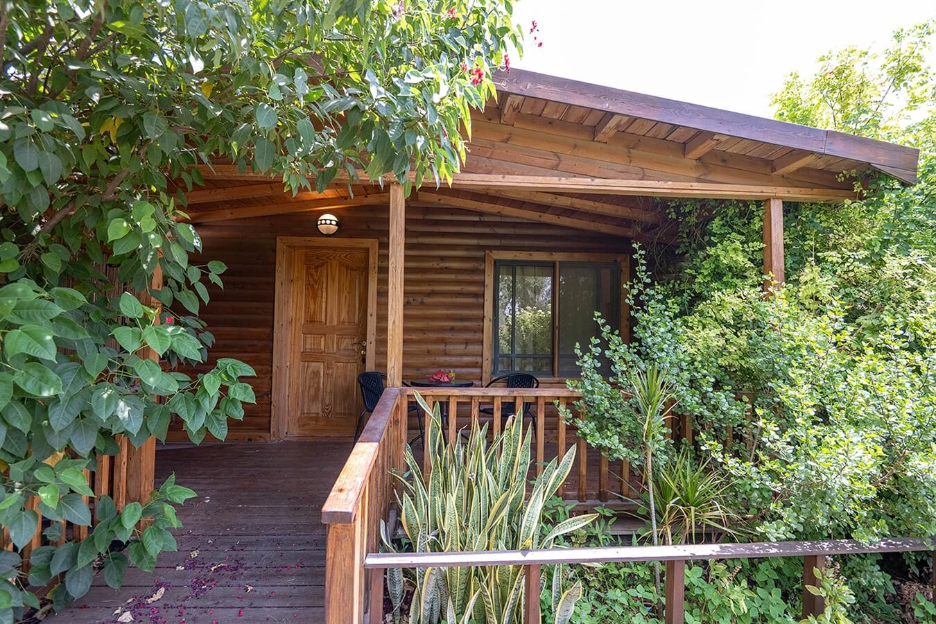 תמונה של צימר ענהאל - 15