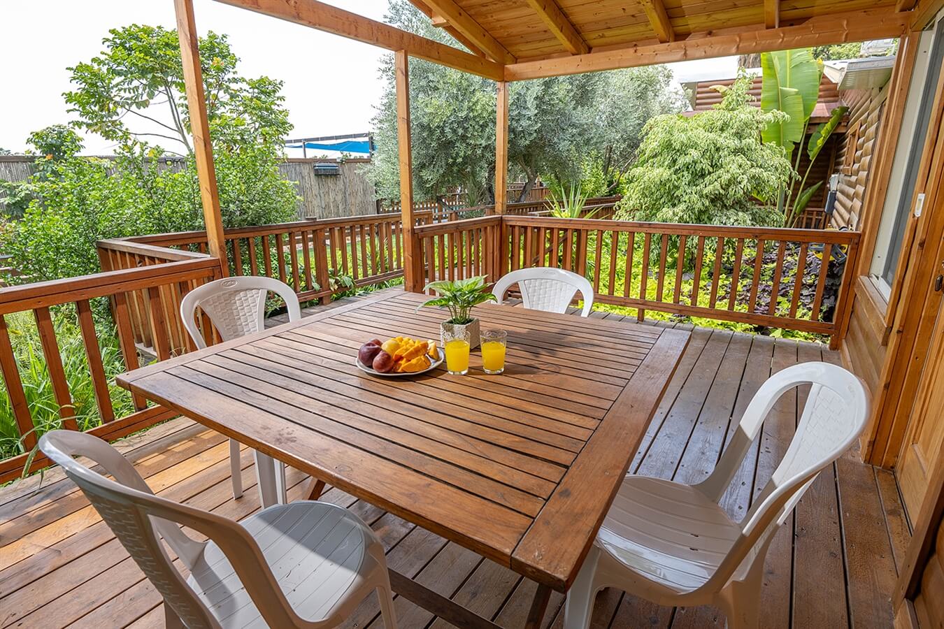 תמונה של סוויטה יגל - 3