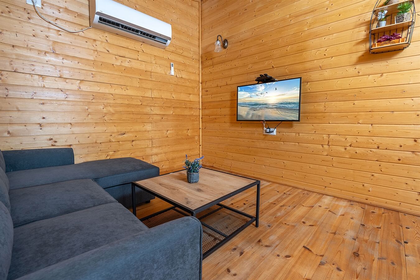 תמונה של סוויטה יגל - 4