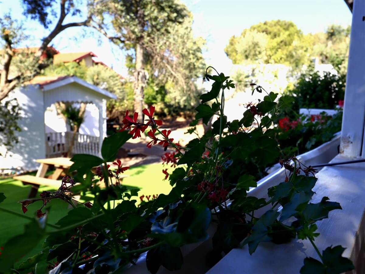 תמונה של בקתה משפחתית - 7 תמונה של בקתה משפחתית - 7