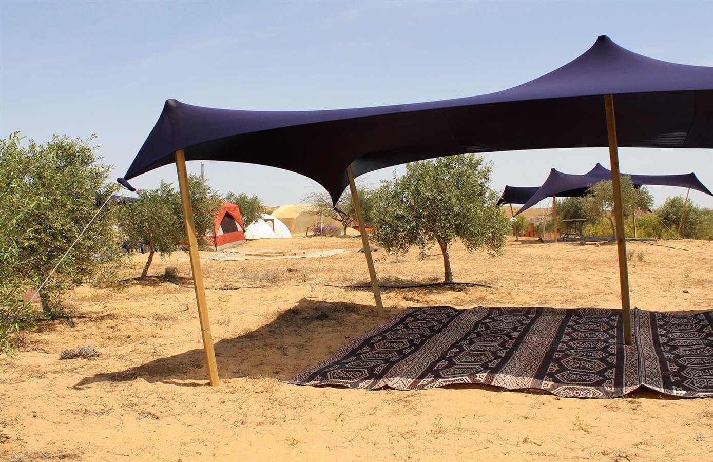 תמונה של מתחם קמפינג - 2