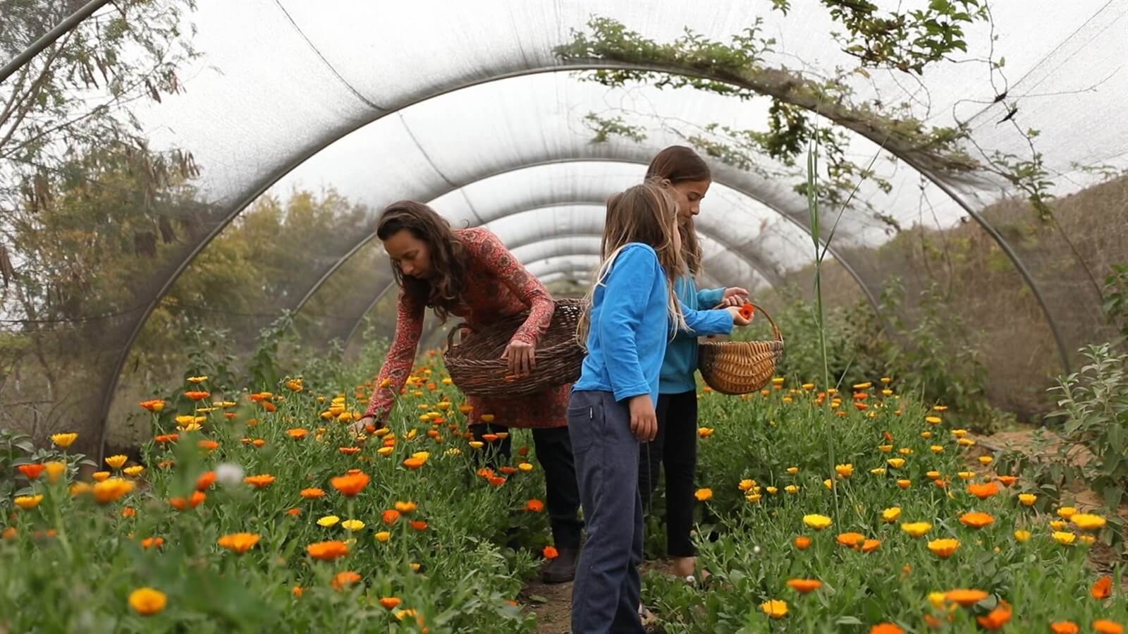 תמונה של אוהלים לקבוצה/משפחה - 4