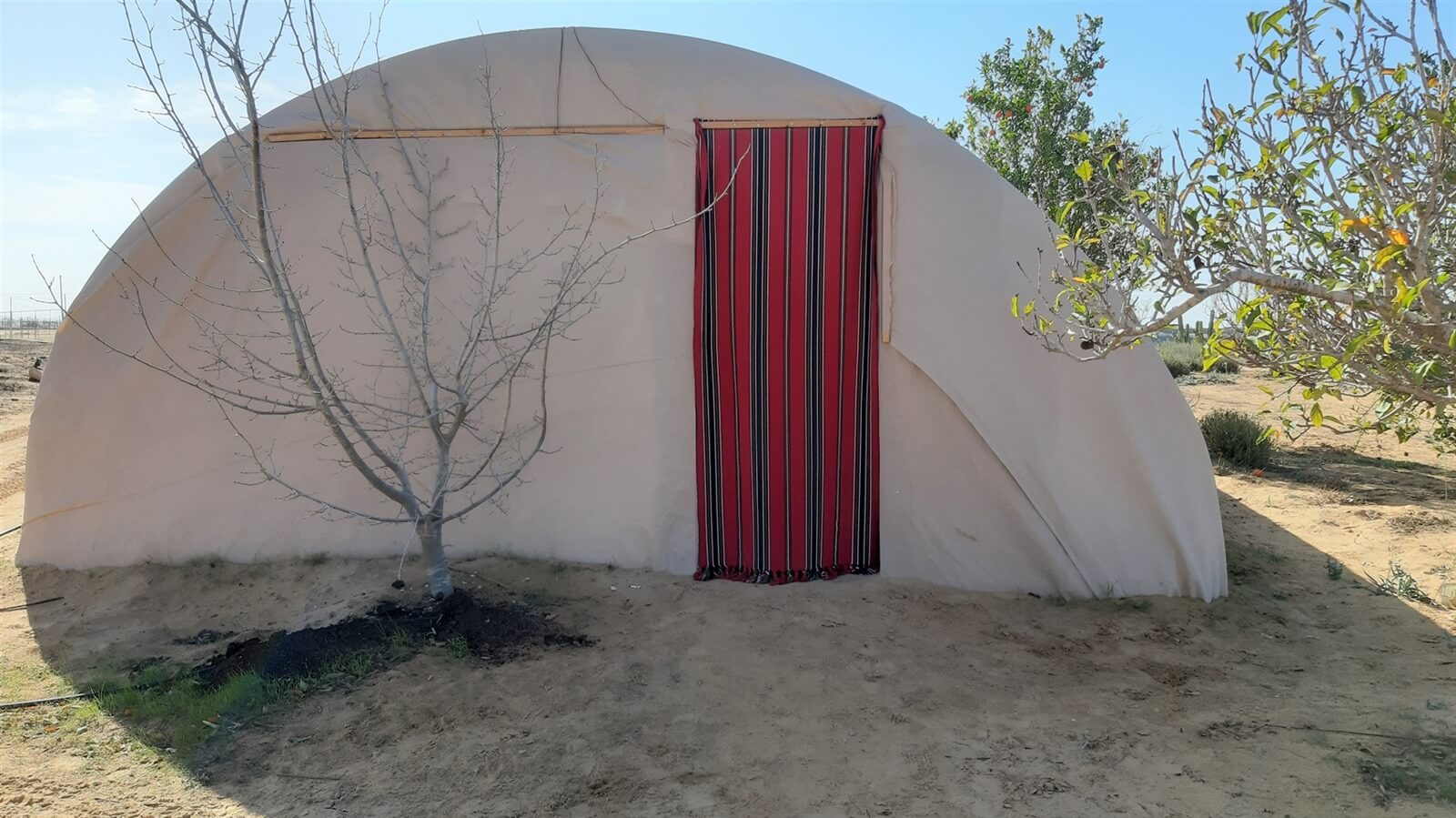 תמונה של אוהלים לקבוצה/משפחה - 2