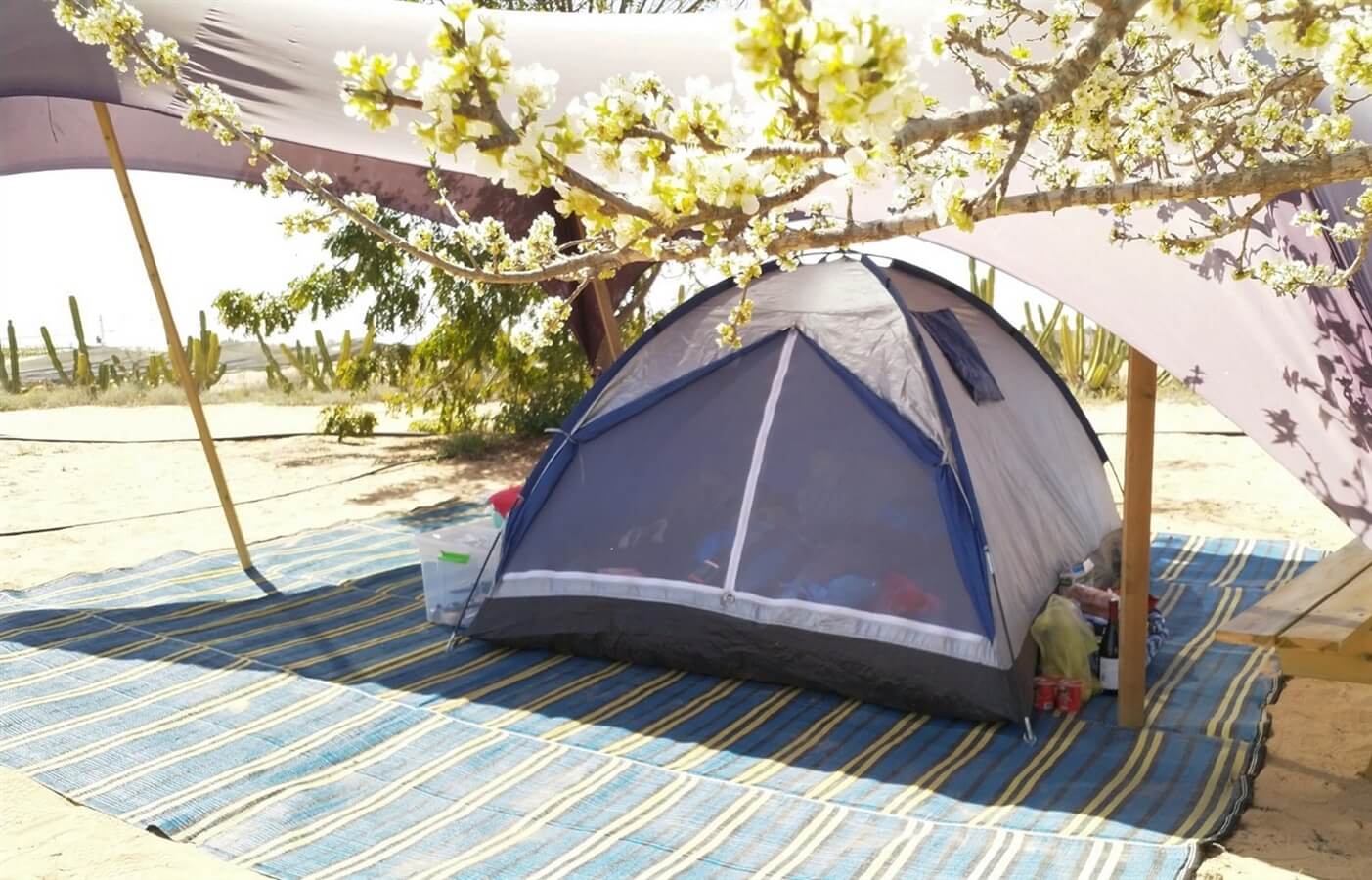 תמונה של מתחם קמפינג - 6
