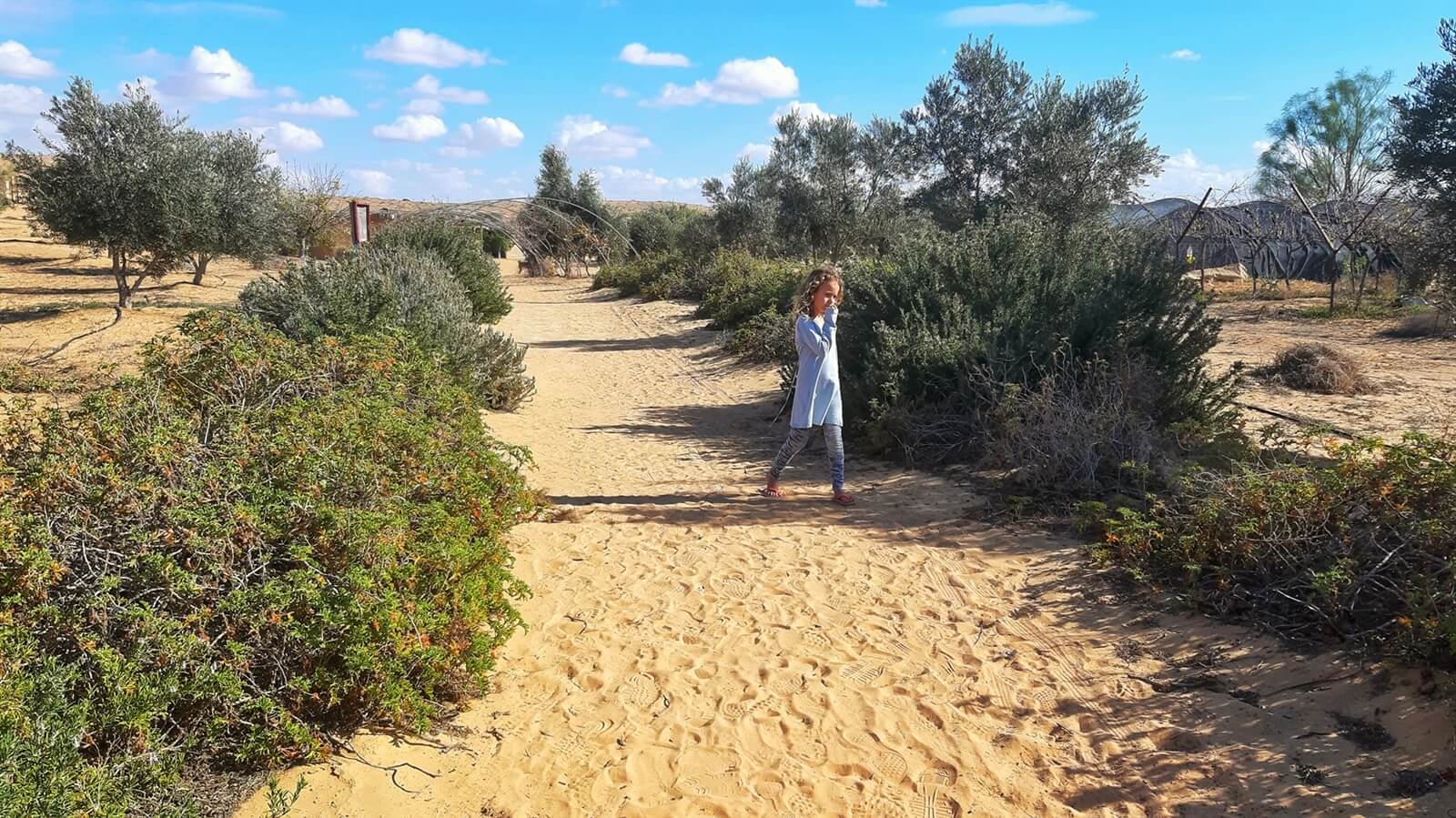 תמונה של האוהל הגדול - 3