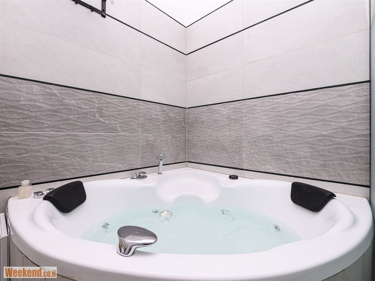 תמונה של יחידה 1 - 13