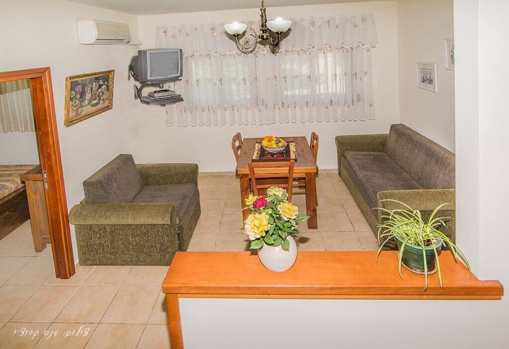 תמונה של בצל עץ הזית - 2