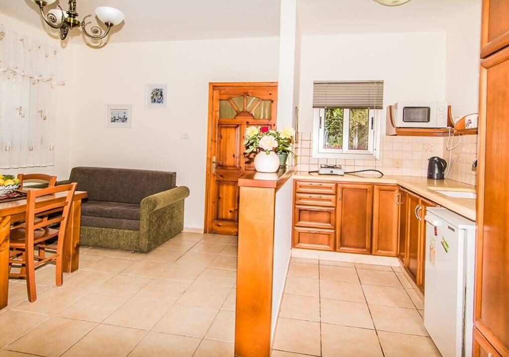 תמונה של בצל עץ הזית - 3