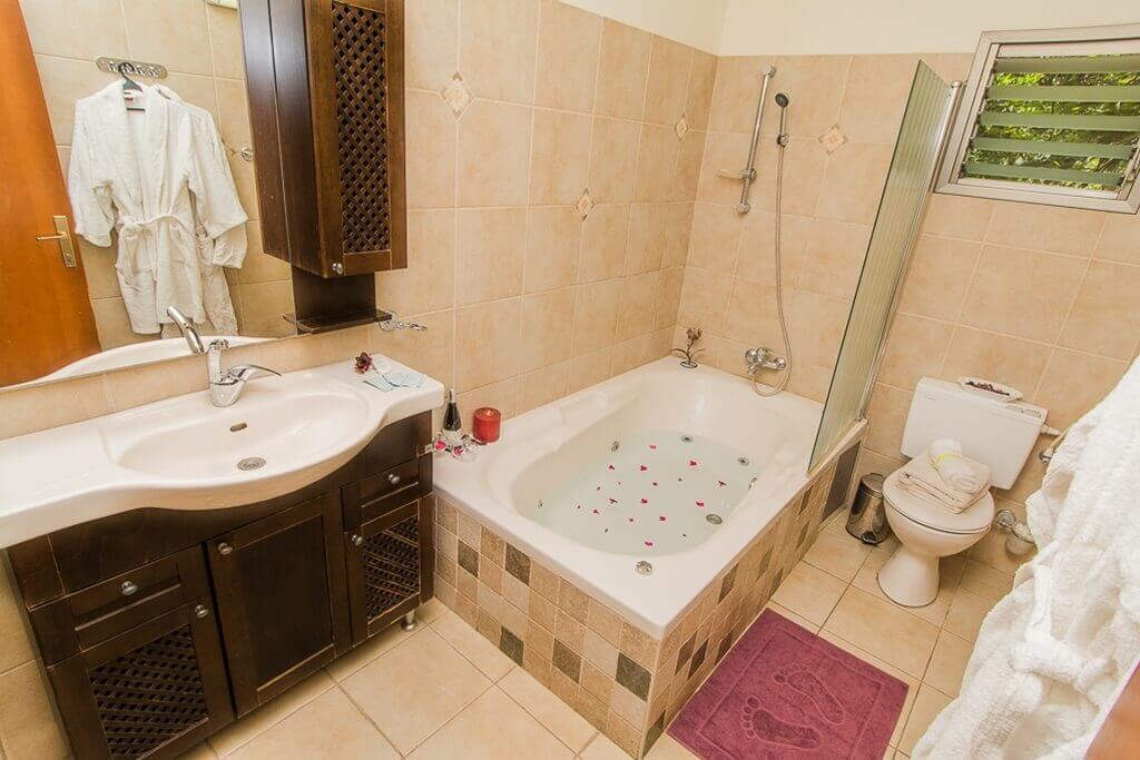 תמונה של בצל עץ הזית - 8