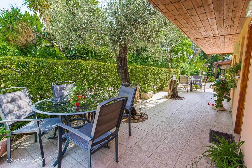 תמונה של בצל עץ הזית - 10