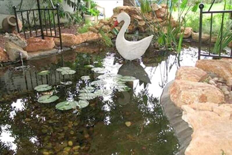 תמונה של אורנית - 11