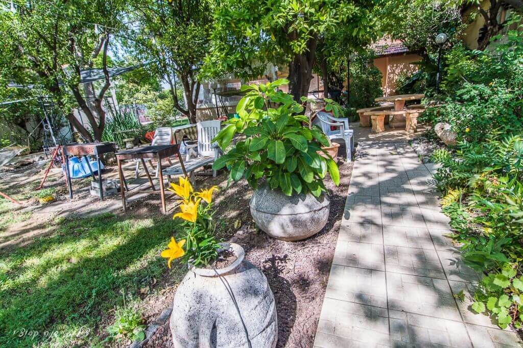 תמונה של אורנית - 9