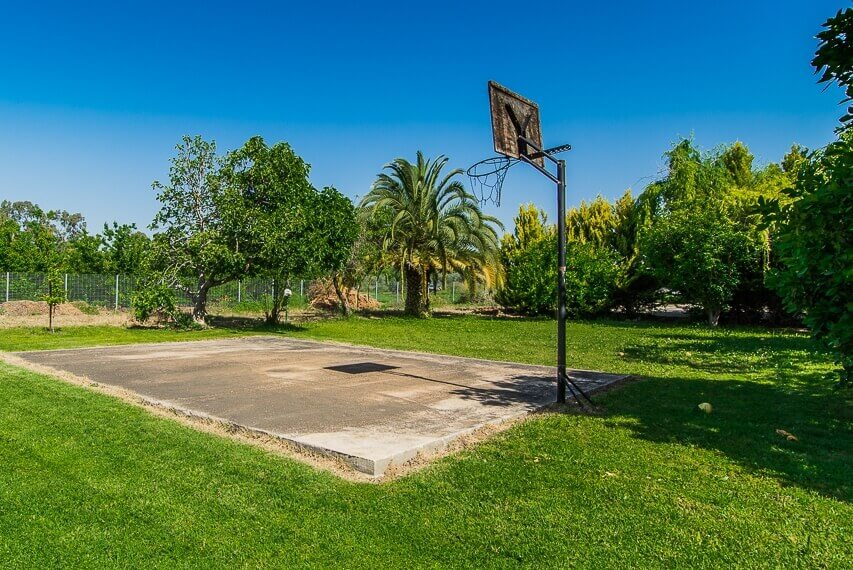 תמונה של אורנית - 10