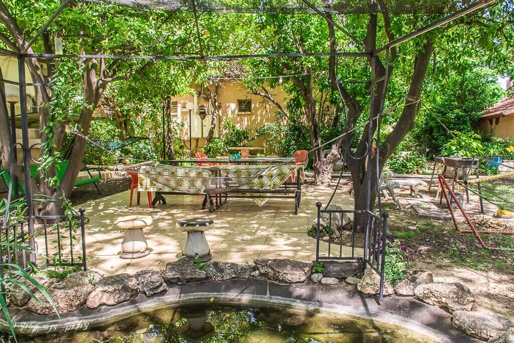 תמונה של אורנית - 6