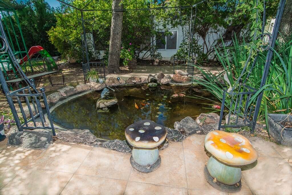 תמונה של בצל ההדרים - 7