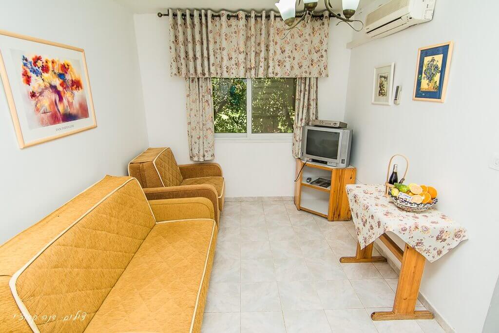 תמונה של בצל ההדרים - 8