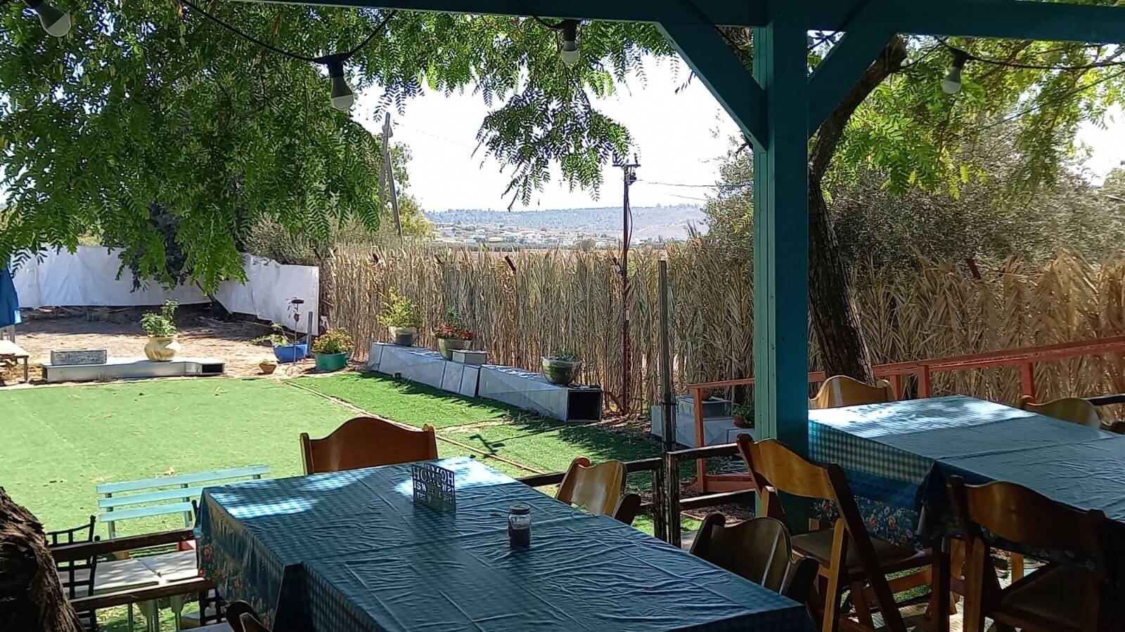 תמונה של האורחן - 5