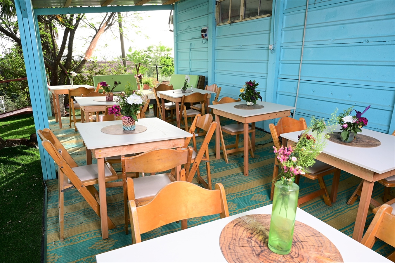 תמונה של האורחן - 10