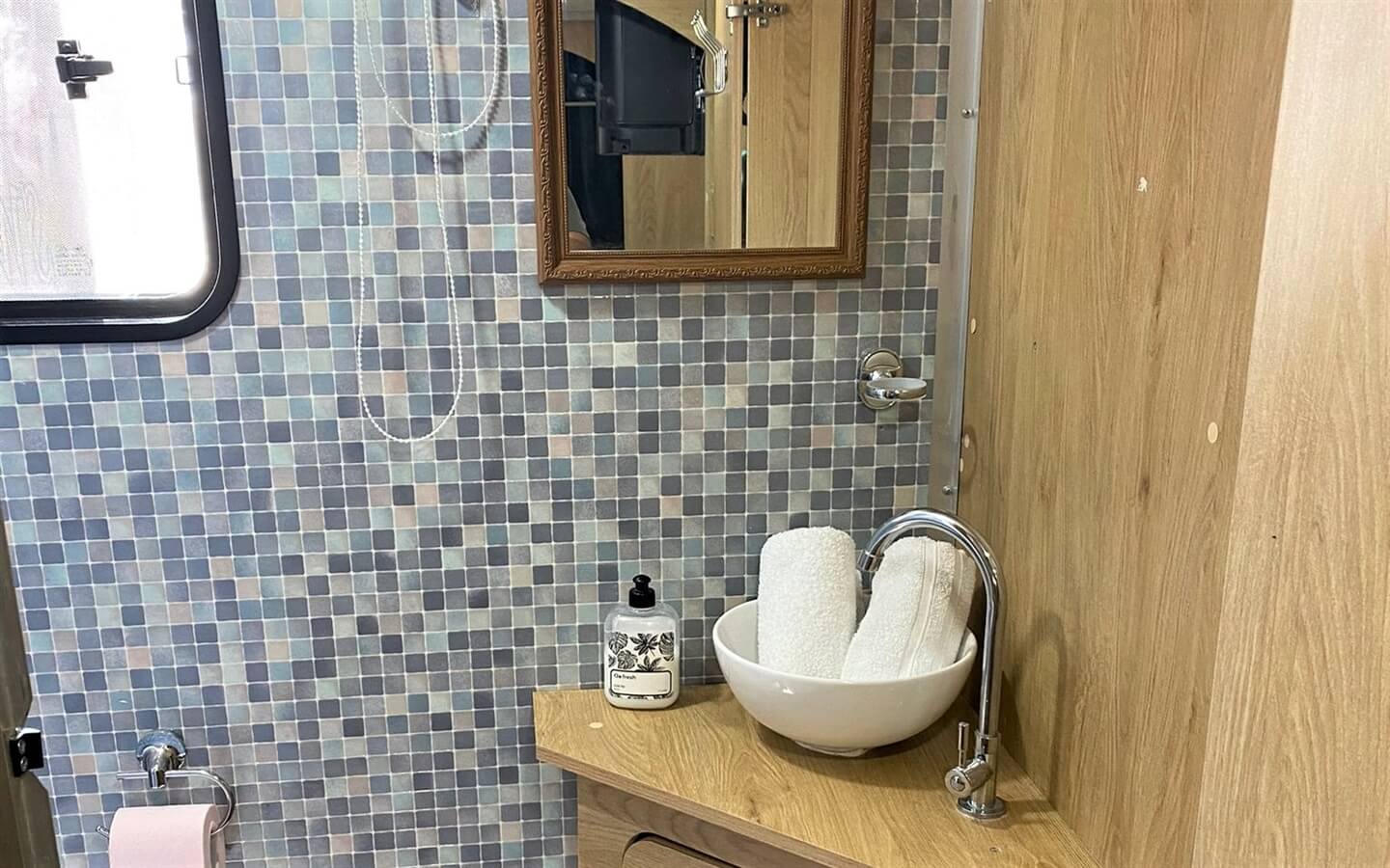 תמונה של קרוואן זברה - 5