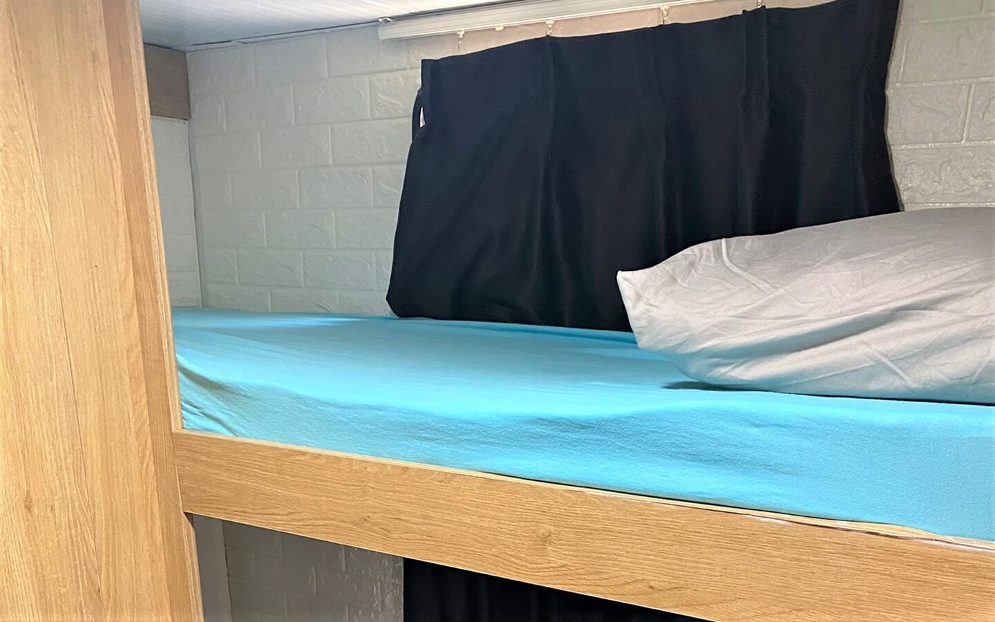 תמונה של קרוואן זברה - 6