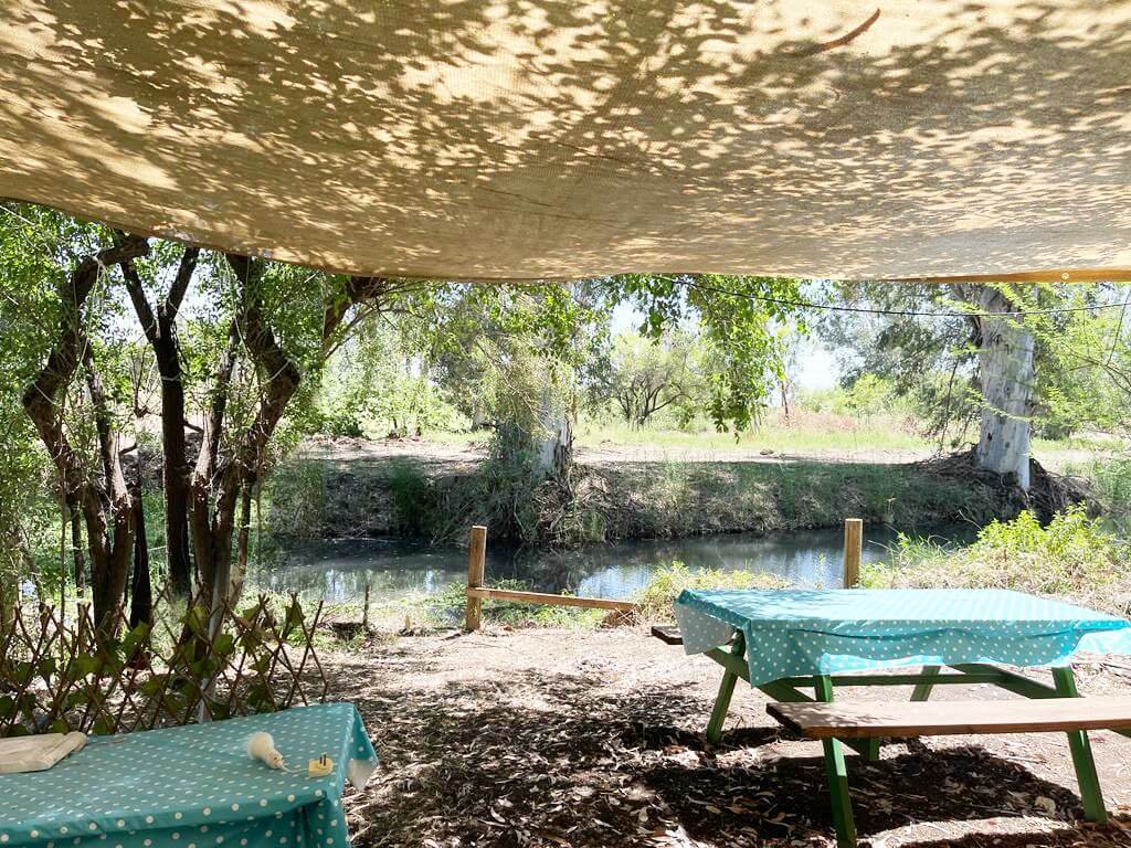 תמונה של הקרוואנים - 11 תמונה של הקרוואנים - 11