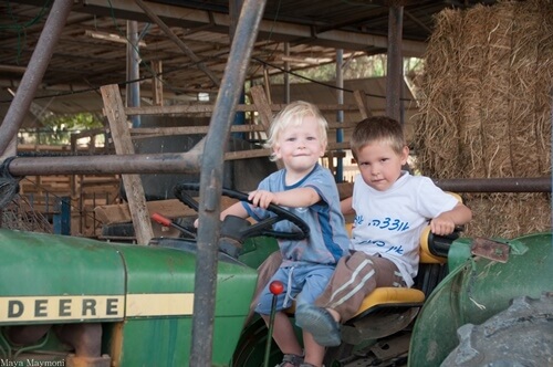 תמונה של ימי כיף לילדים ומבוגרים