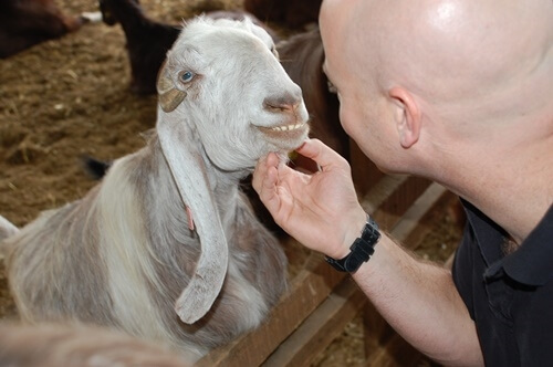 תמונה של ימי כיף לילדים ומבוגרים