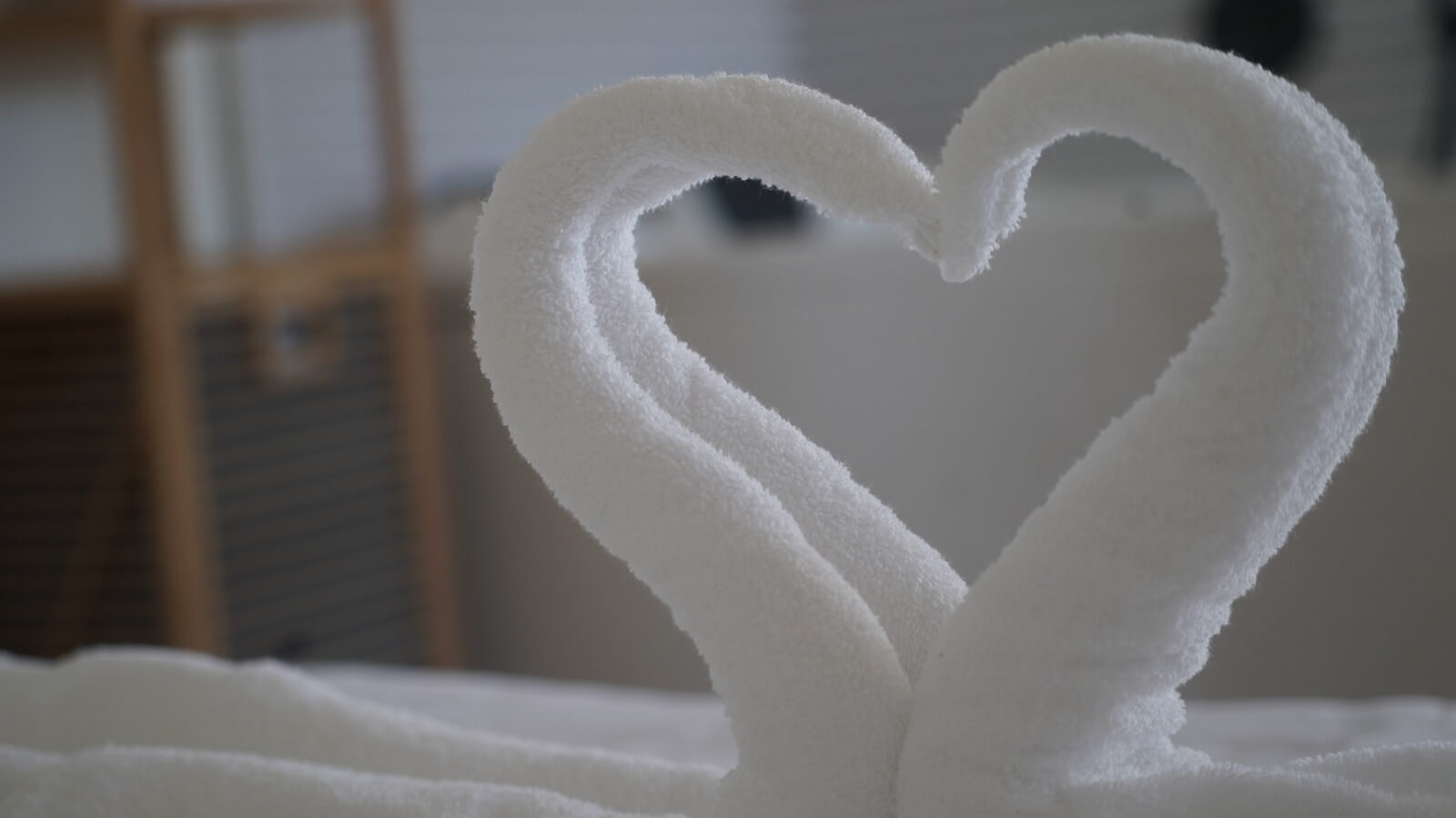 תמונה של הצימר - 5 תמונה של הצימר - 5