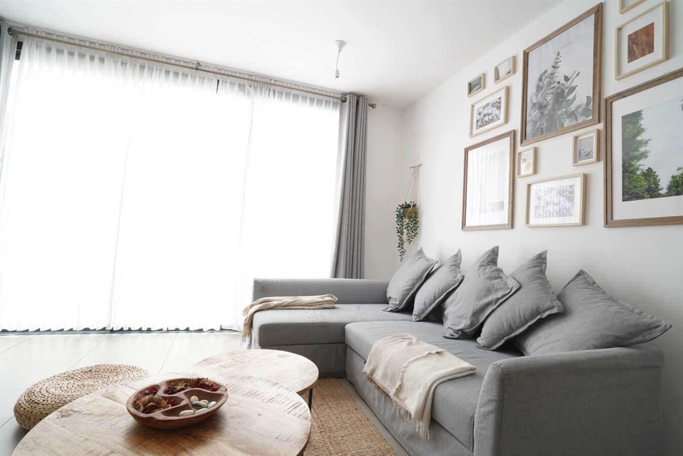 תמונה של הפנטהאוזים - 11