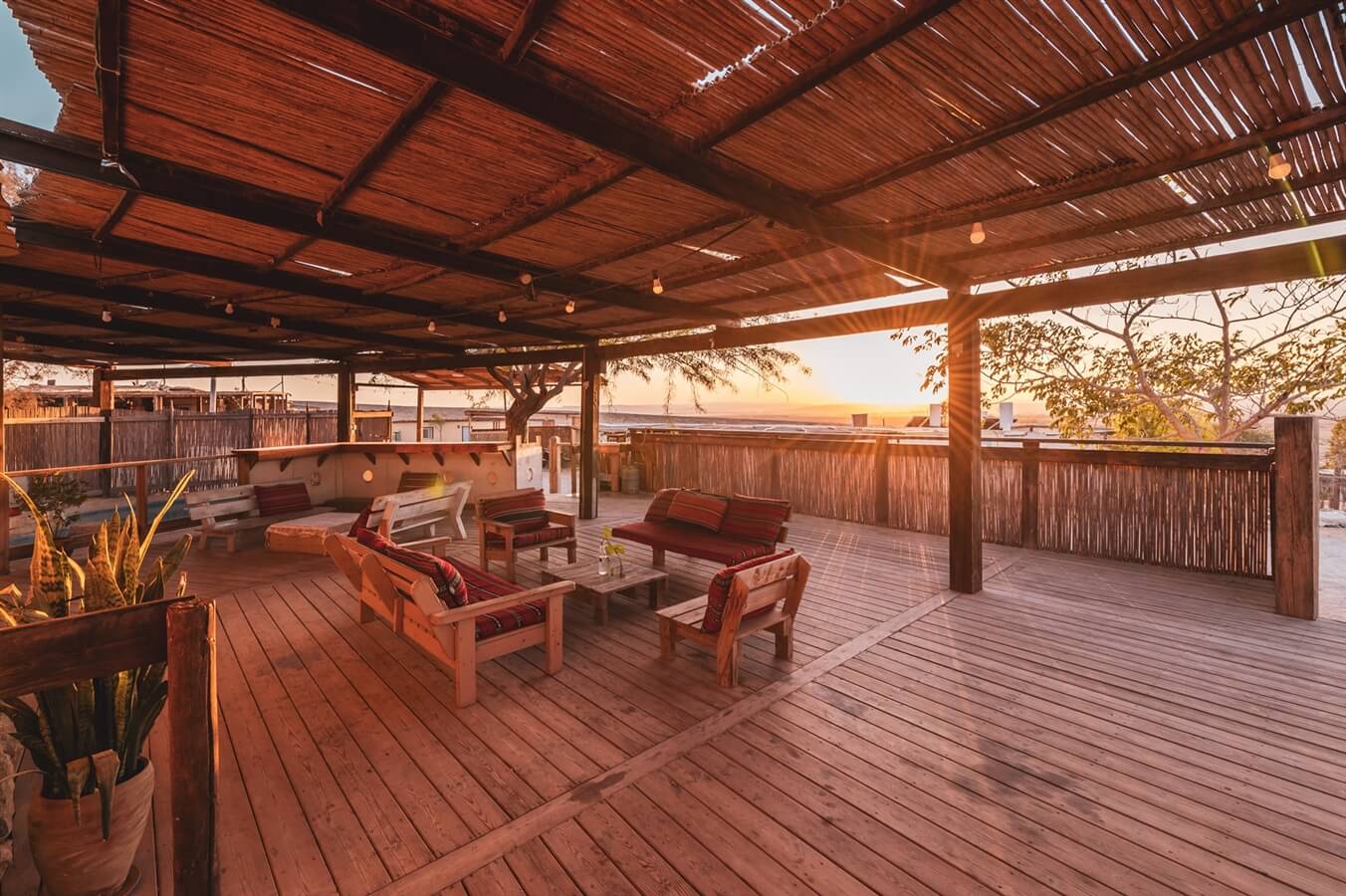 תמונה של החאנים - 16