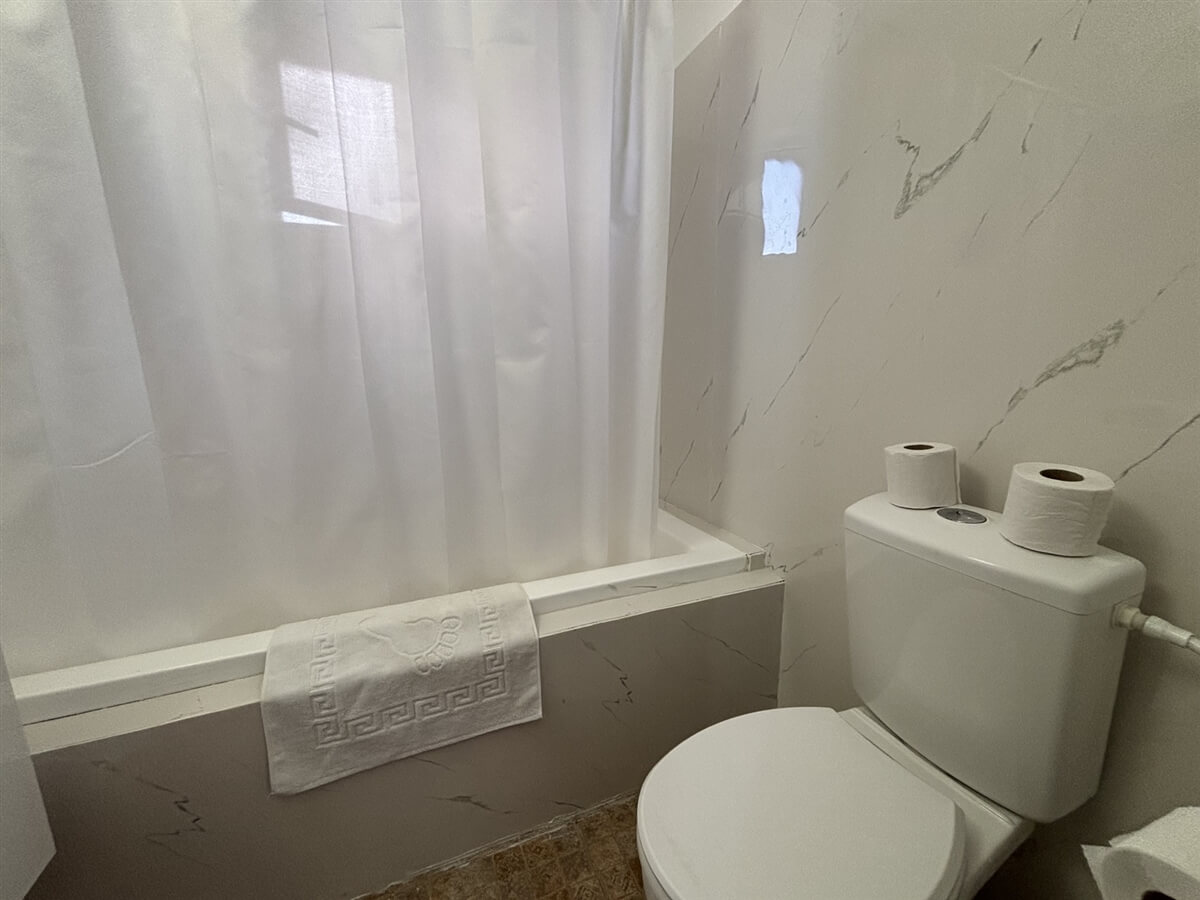 תמונה של Dalia - 4