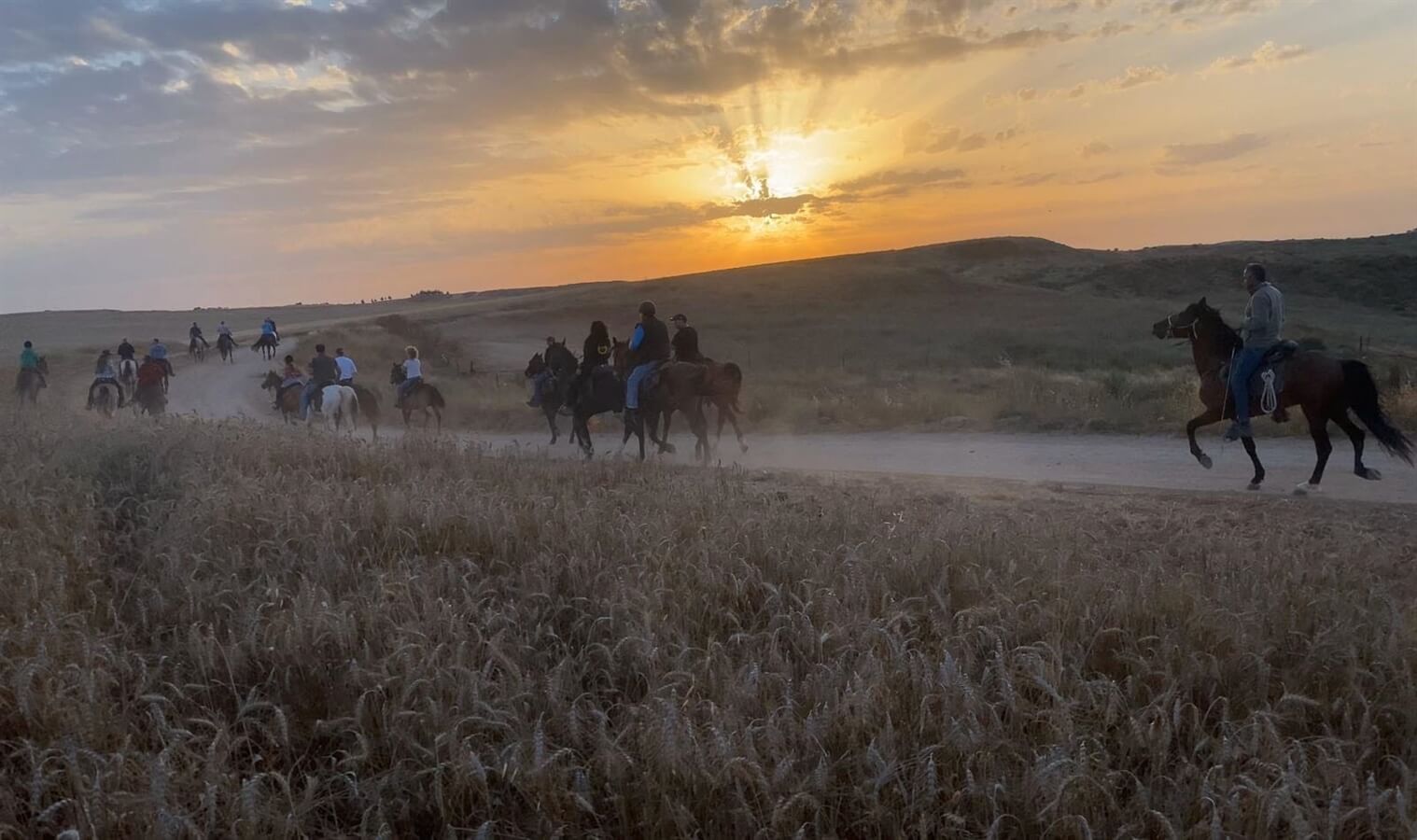 תמונה של החאן והחצר - 6