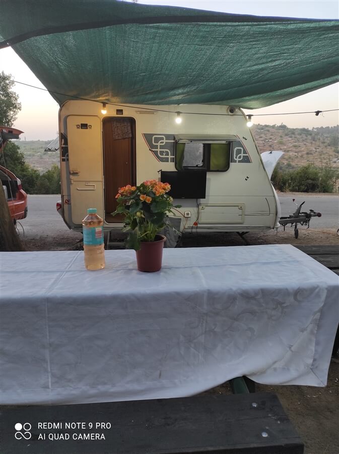 תמונה של חץ - 6 תמונה של חץ - 6