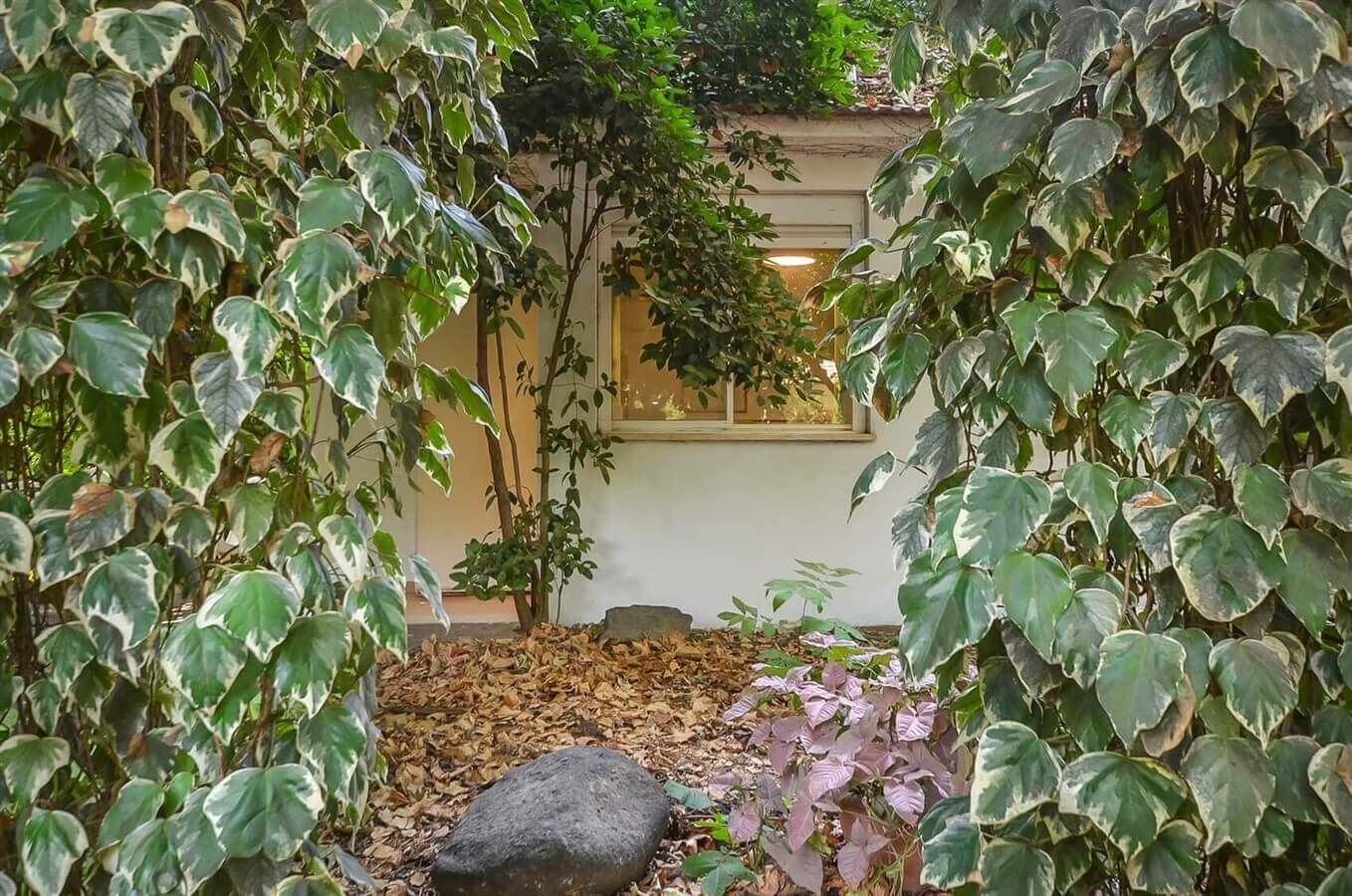 תמונה של דירות סטודיו - 7