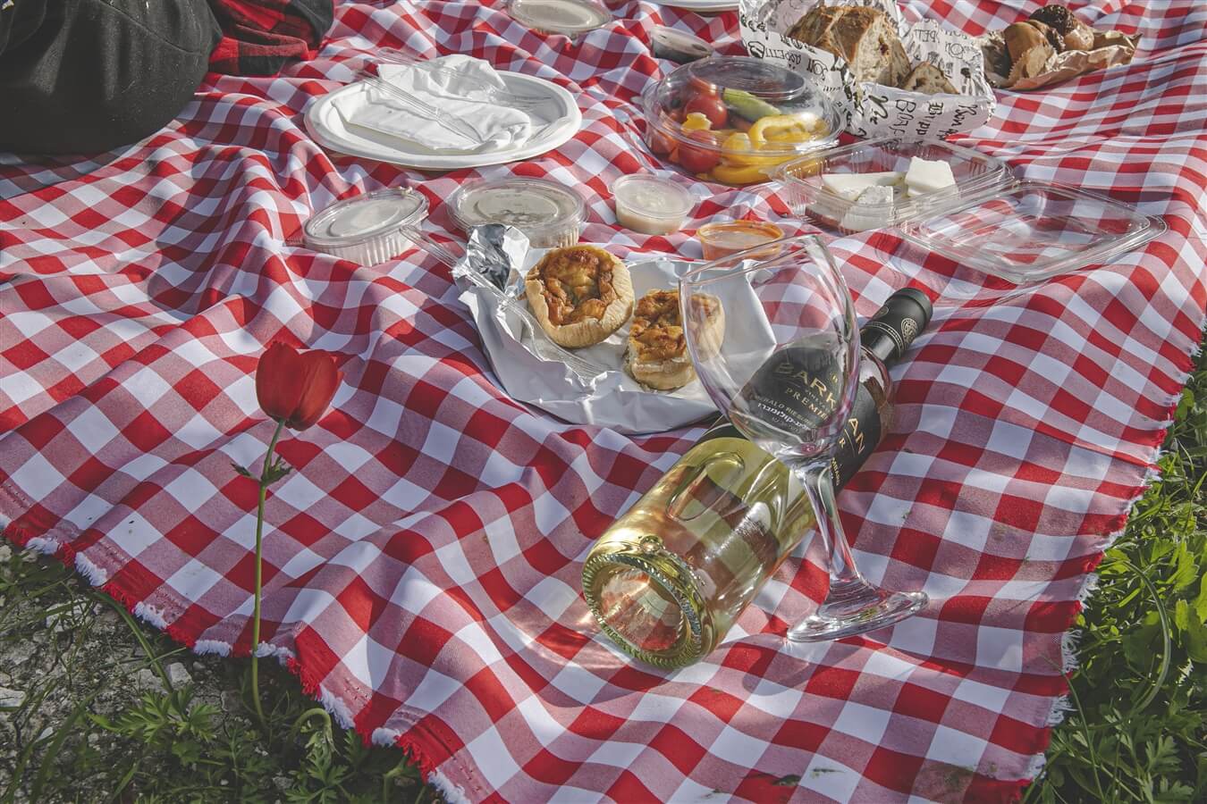 תמונה שצולמה באקסטרים שפלת יהודה - 2 תמונה של אקסטרים שפלת יהודה - 2