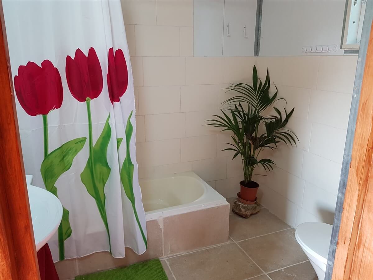 תמונה של היורט - 3