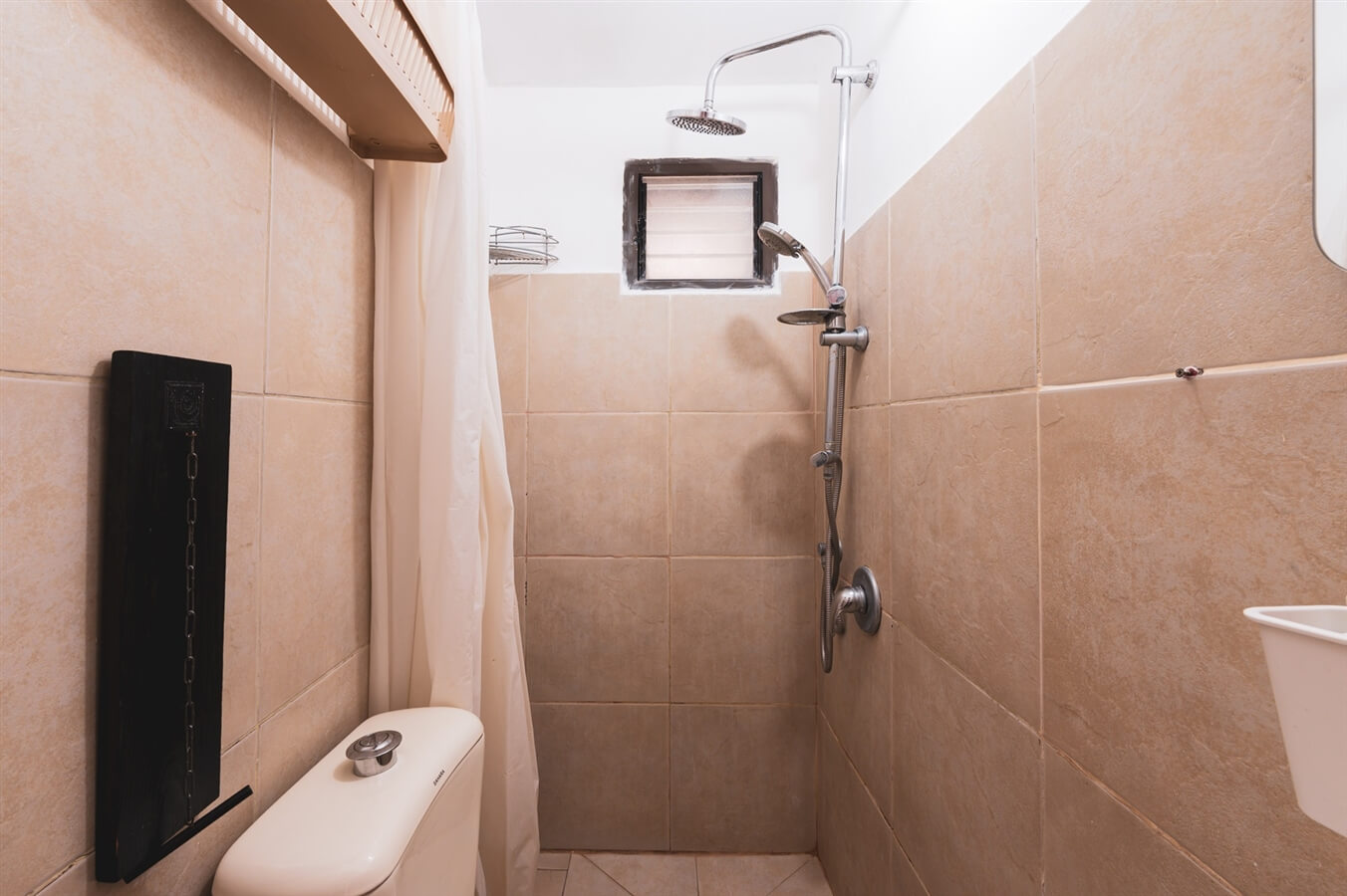 תמונה של לימון - 11